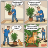 Zobacz Komiks