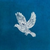 Zobacz profil